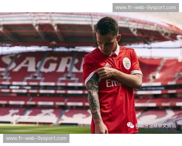 本菲卡积分榜:红色荣耀背后的数据与热爱 本菲卡积分榜:红色荣耀背后的数据与热爱